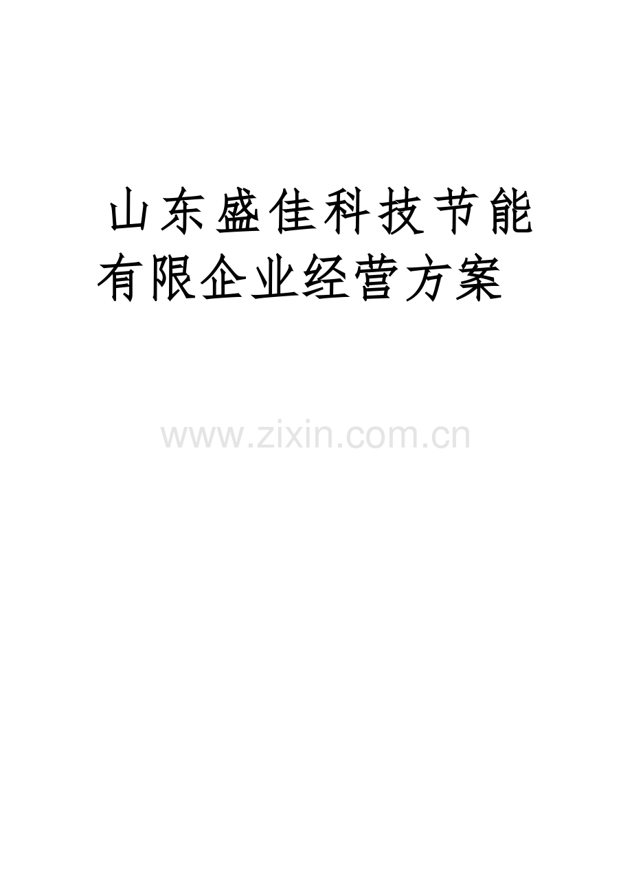 企业运营方案模板.doc_第1页