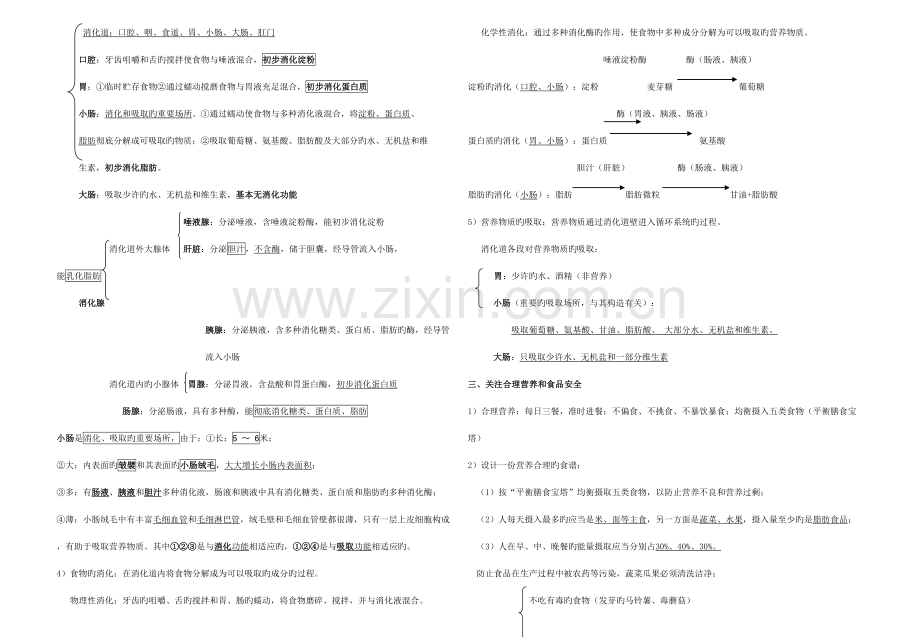 2023年七年级下册生物知识点归纳.doc_第3页