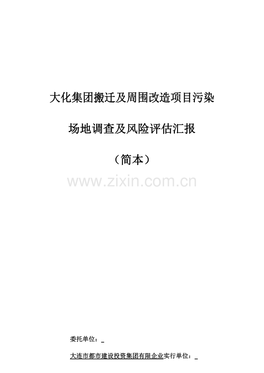 大化集团搬迁及周边改造项目污染场地调查及风险评价报告.doc_第1页