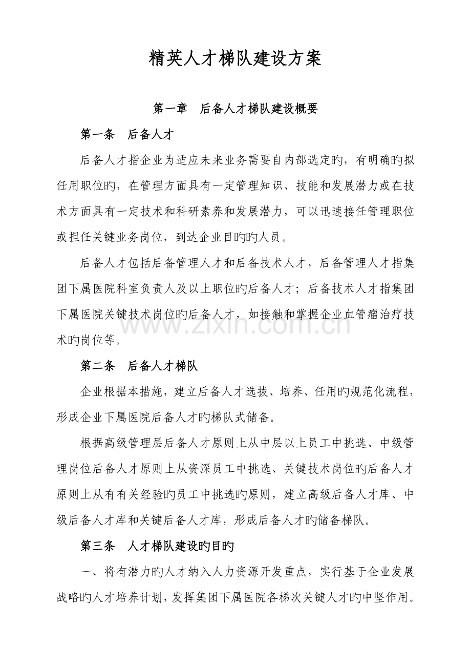 精英人才梯队建设方案.doc_第1页