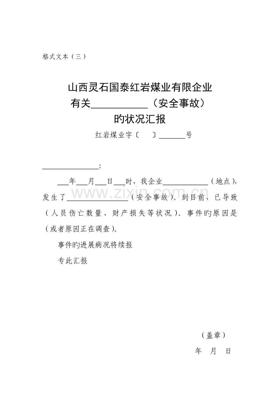 2023年应急预案规范化格式文本.doc_第3页