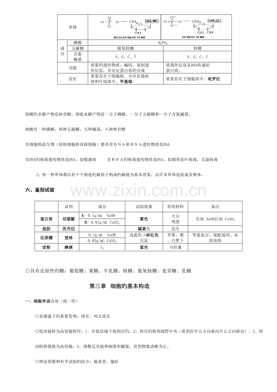 2023年分子与细胞知识点整理.doc_第3页