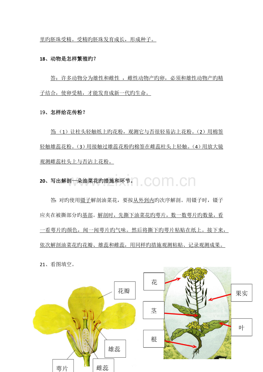 2023年科学四年级下册第二单元知识点.docx_第3页