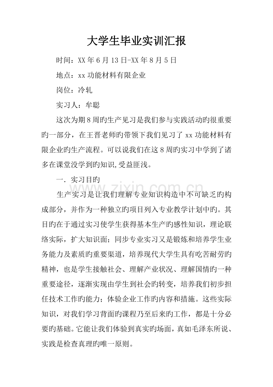 大学生毕业实训报告.docx_第1页