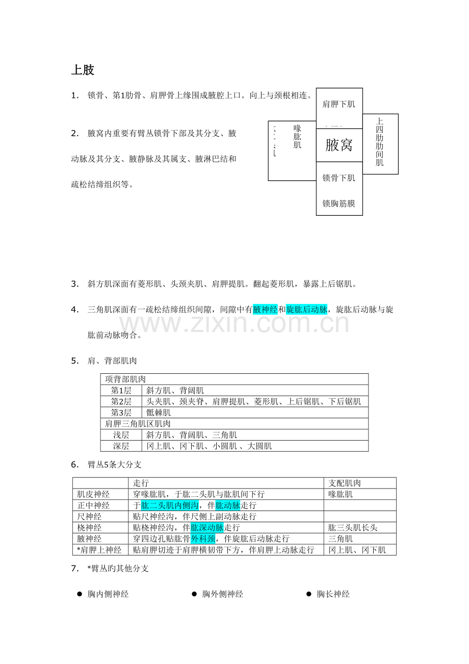 2023年局部解剖学笔记整理.docx_第1页