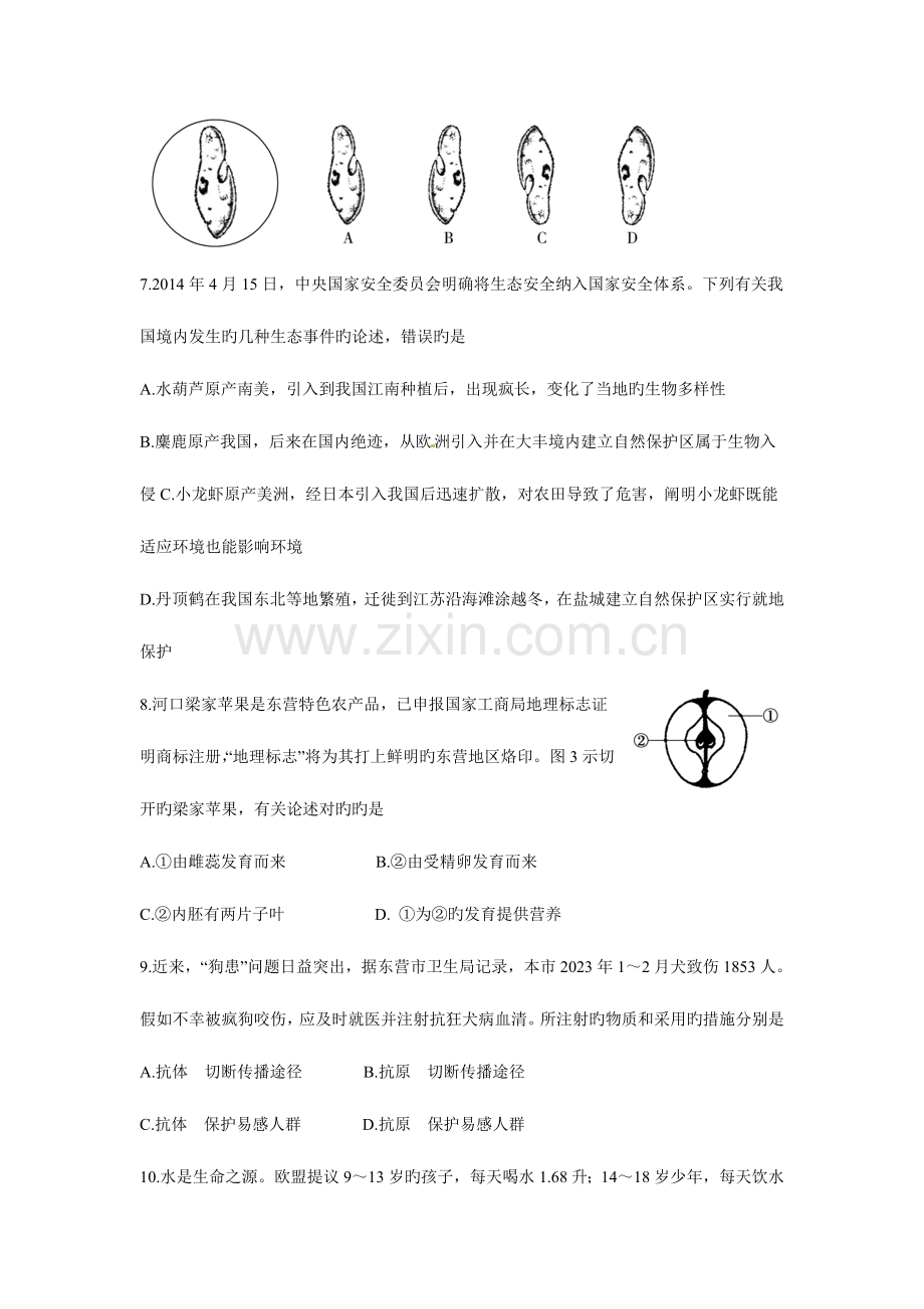 2023年中考生物真题及答案山东东营生物.doc_第3页