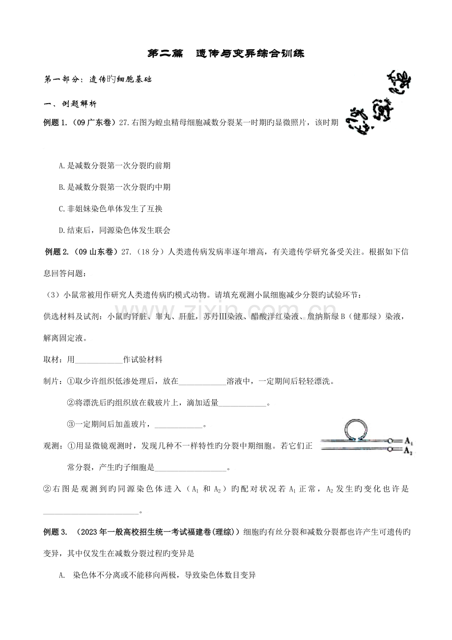 2023年遗传学综合训练生物竞赛专用.doc_第1页