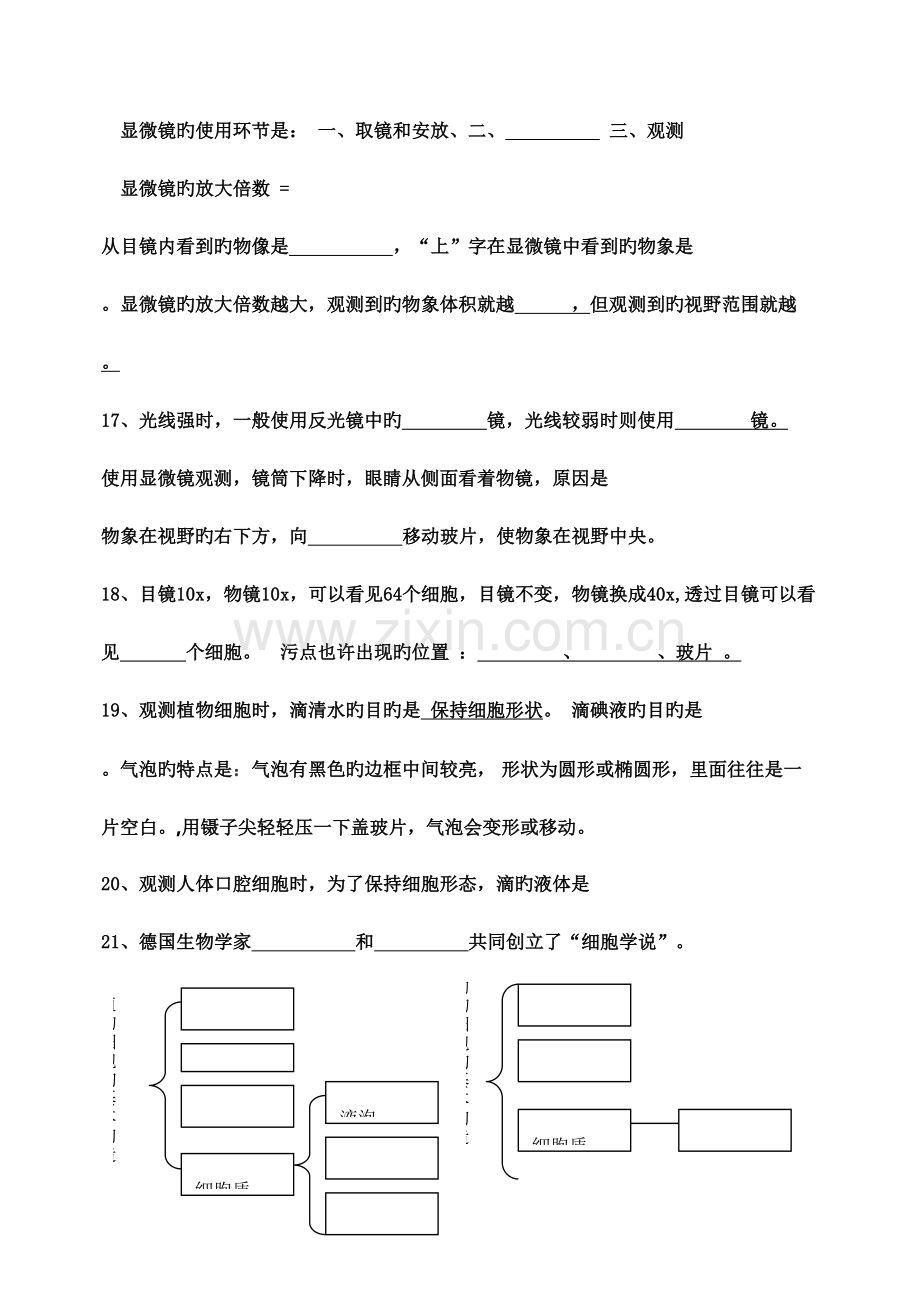 2023年七年级上册生物复习知识点填空.doc_第3页