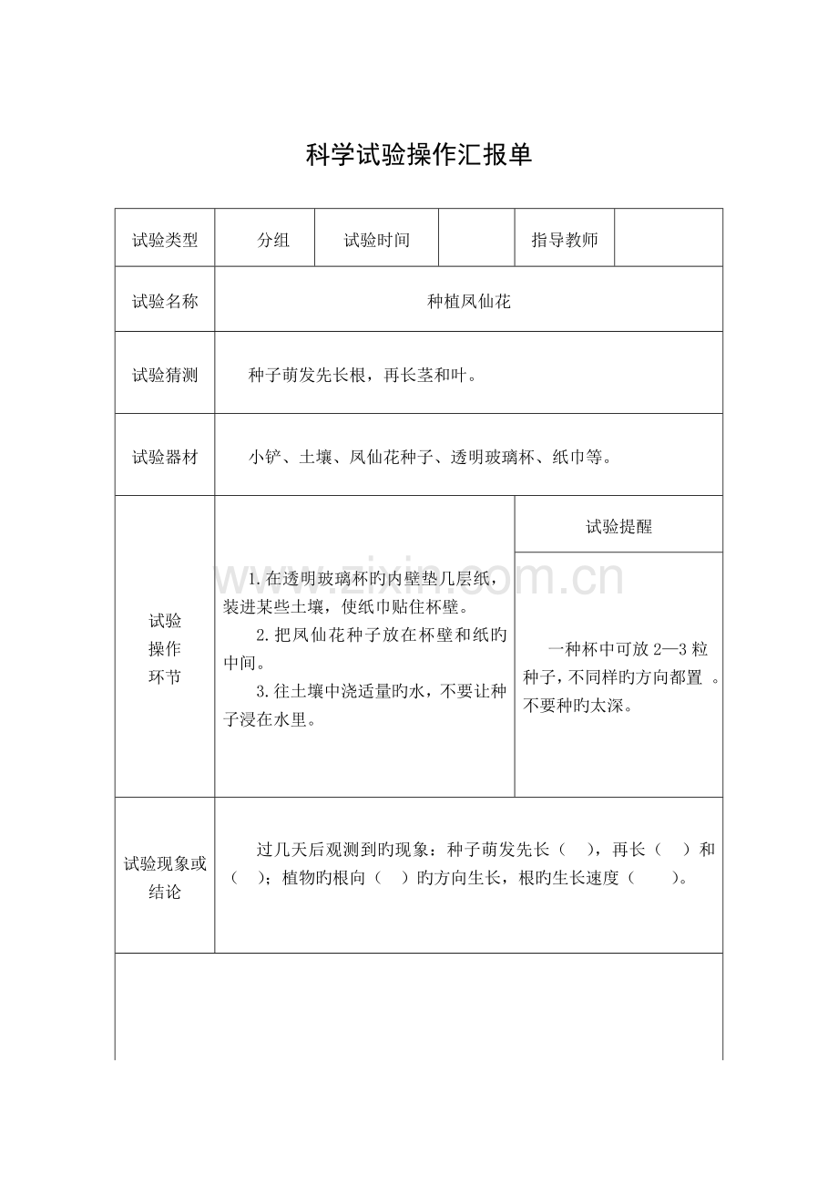 2023年教科版三年级科学下全册实验报告单课件.doc_第2页