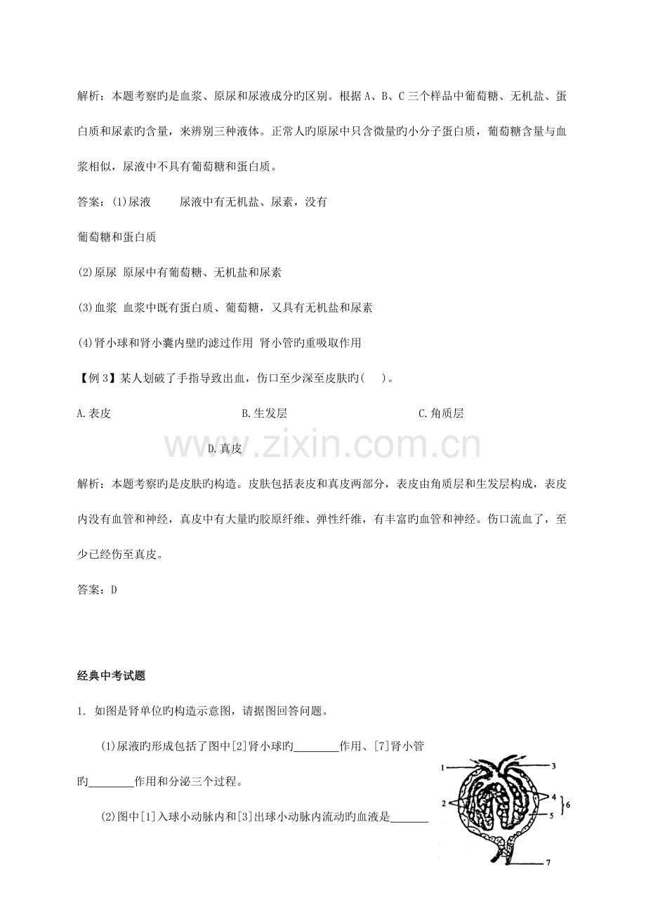 2023年人体内废物的排出知识点汇总及复习题.doc_第3页