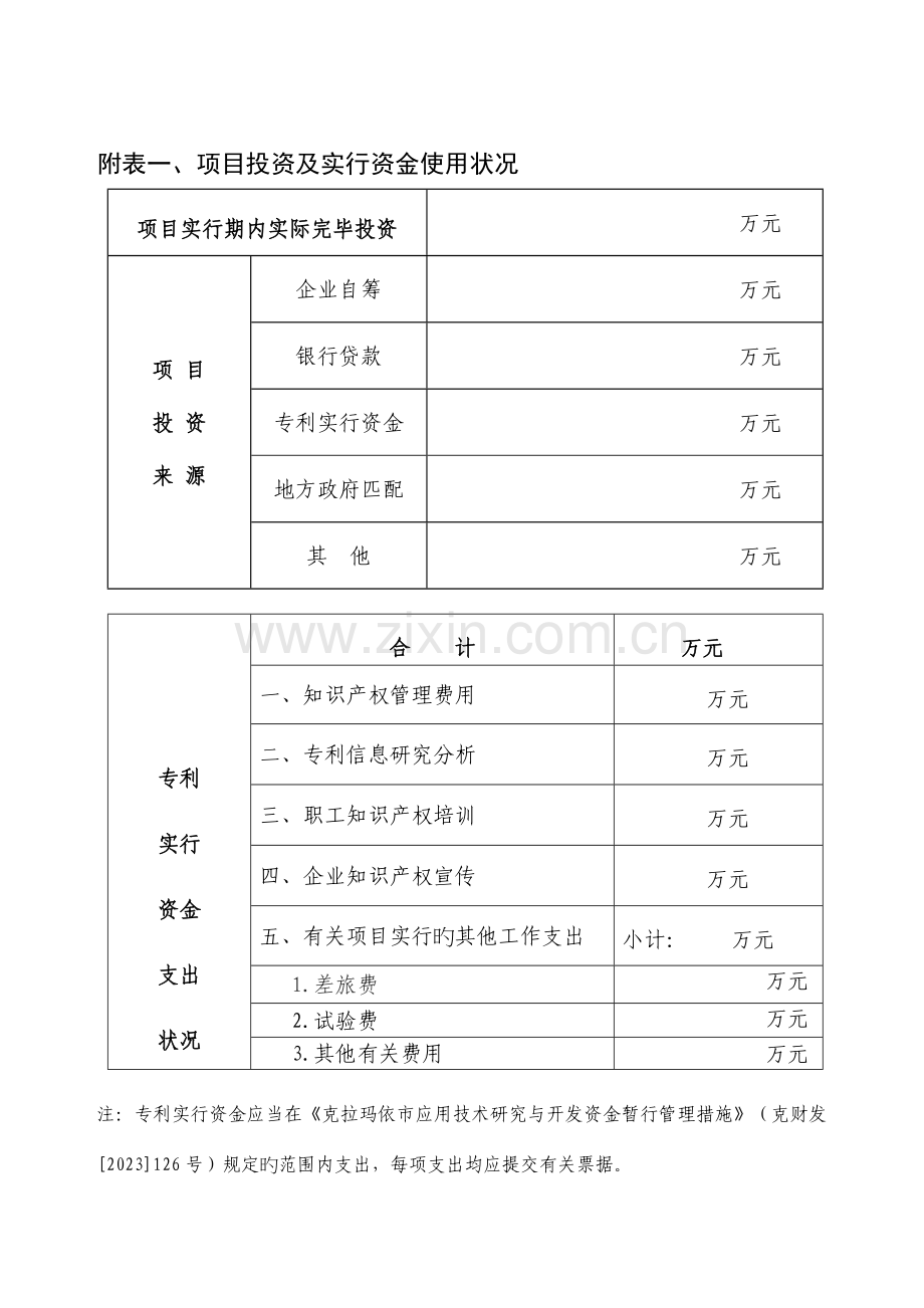 克拉玛依市专利实施项目验收报告书.doc_第3页