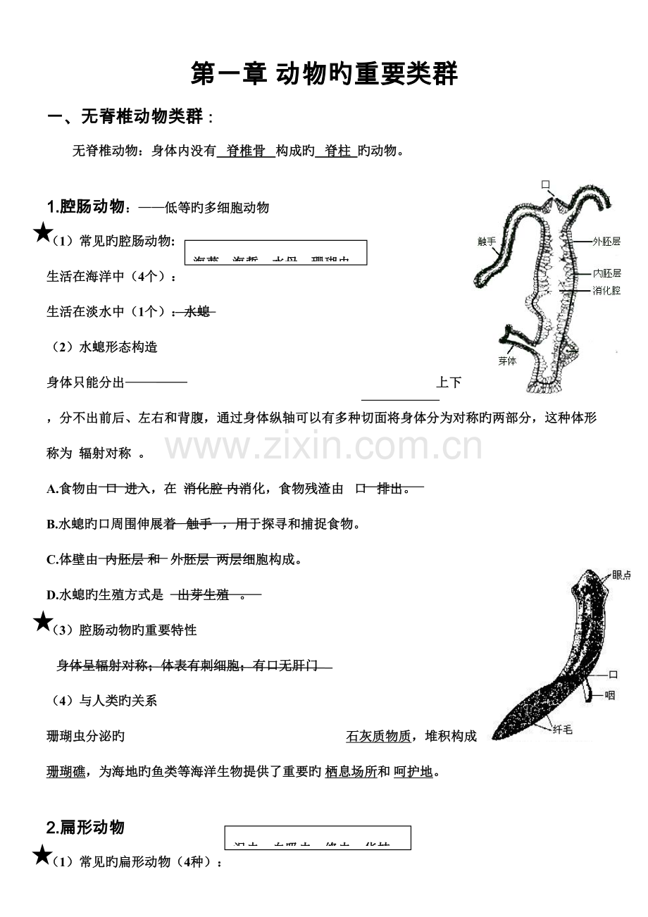 2023年人教版八年级生物上知识点汇总.doc_第1页