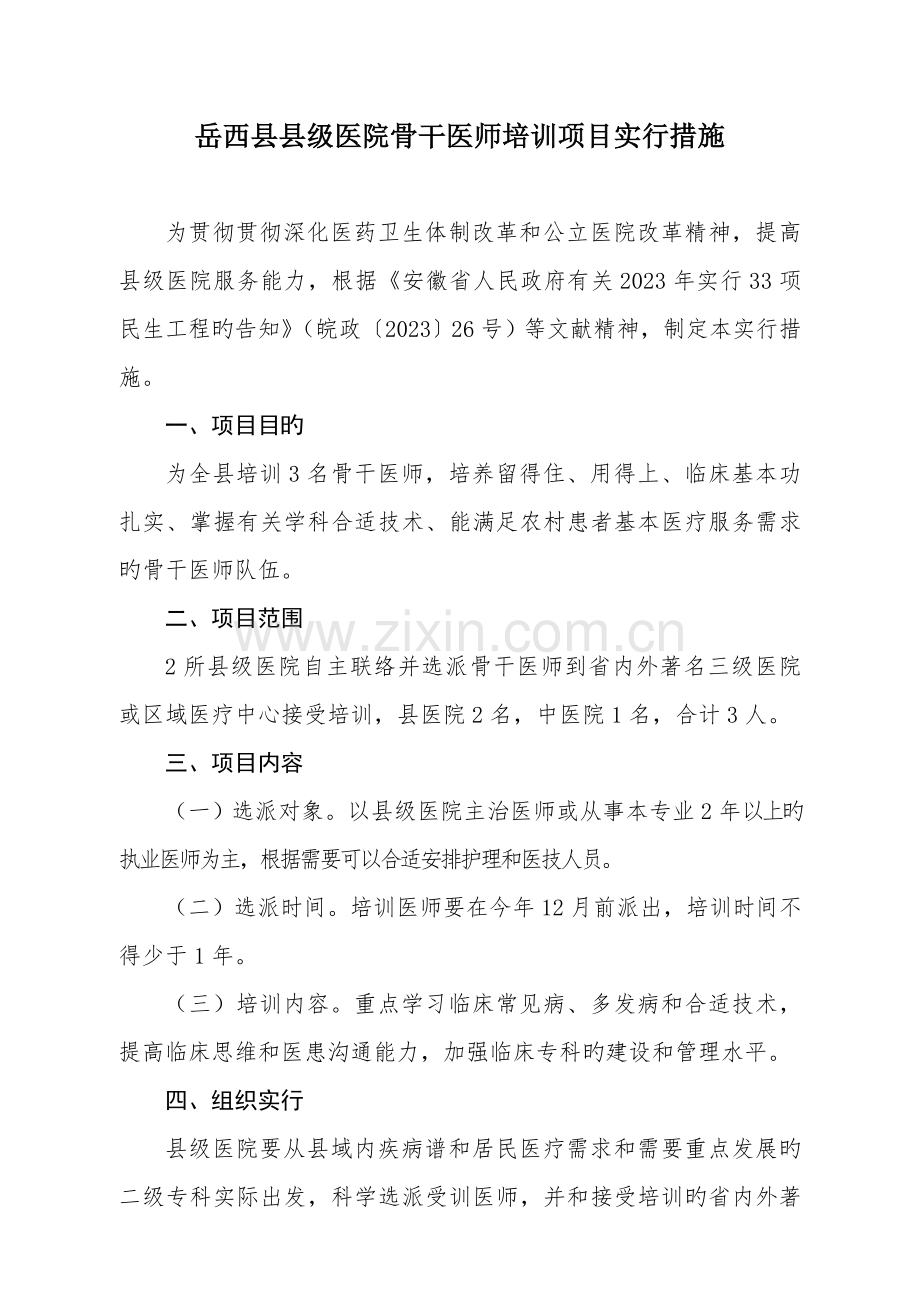 岳西县医疗卫生人才能力提升工程路线图及时间.doc_第2页