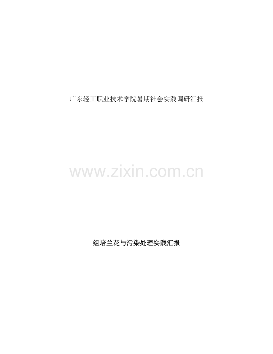 暑期社会实践调研报告何泳良.docx_第1页