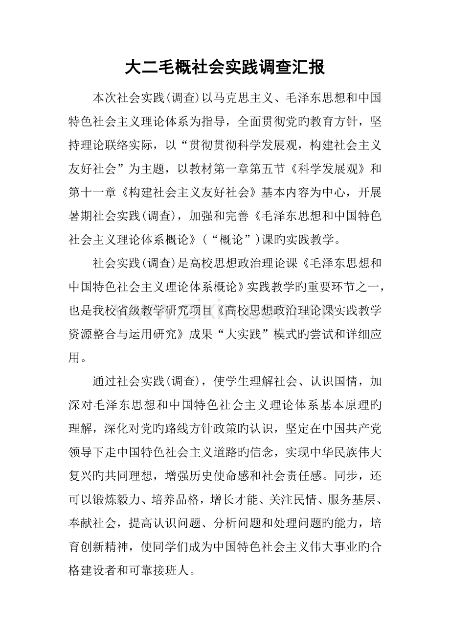 大二毛概社会实践调查报告.docx_第1页