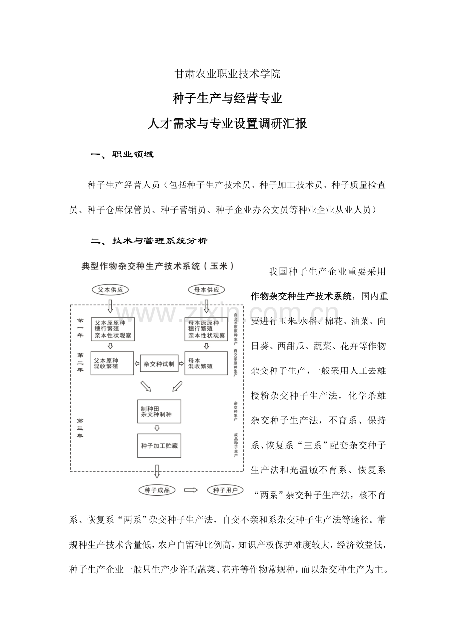 种子专业调研报告.doc_第1页