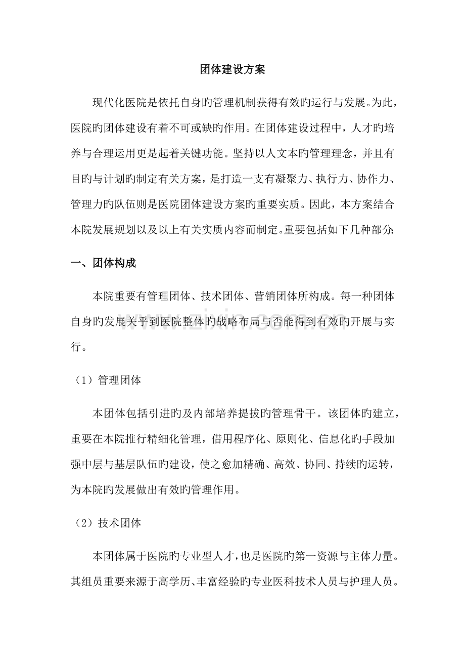 弘大医院团队建设方案.docx_第1页