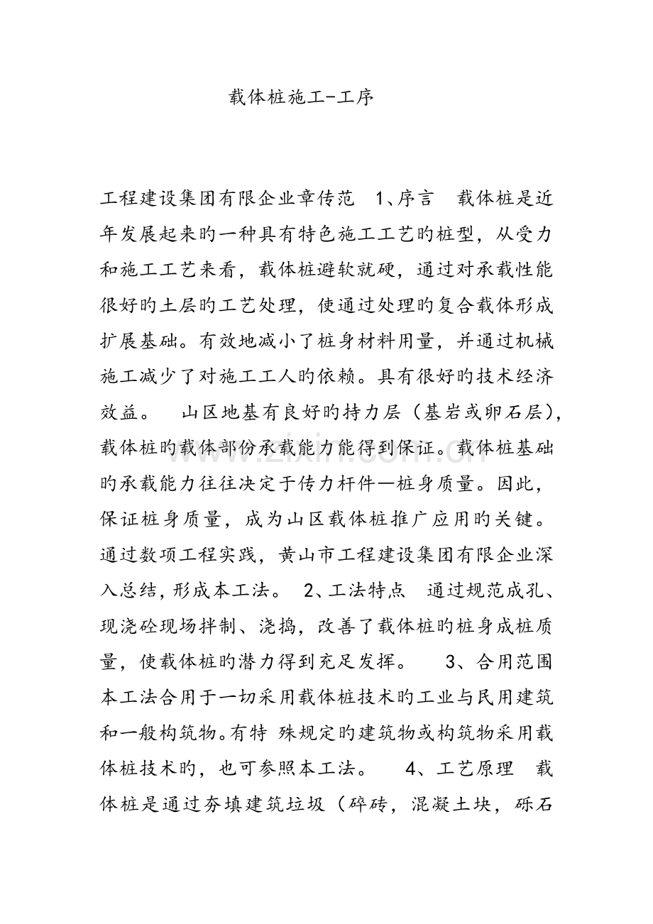 载体桩施工.docx_第1页