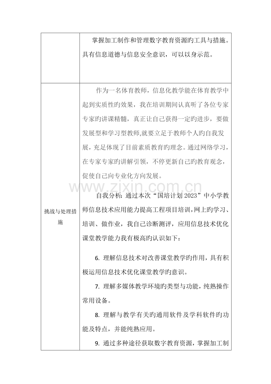 信息技术应用能力持续提升计划.docx_第3页