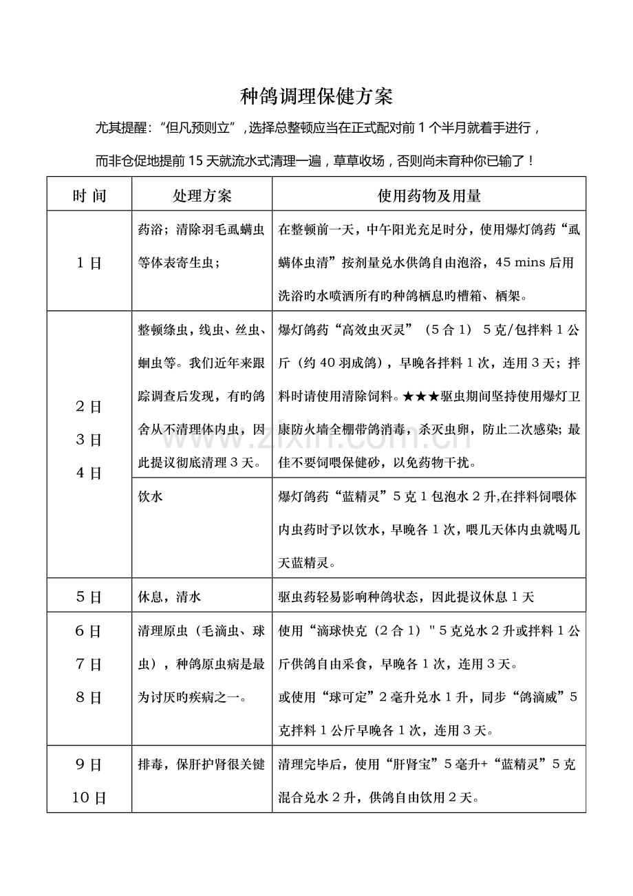 种鸽调理保健方案.doc_第1页