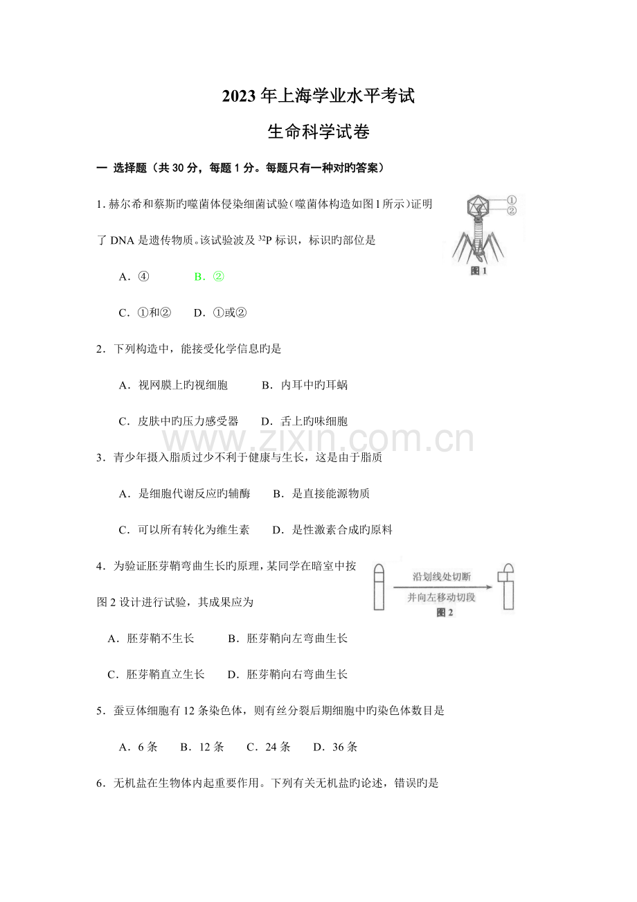 2023年上海学业水平考试生命科学试卷含答案.doc_第1页