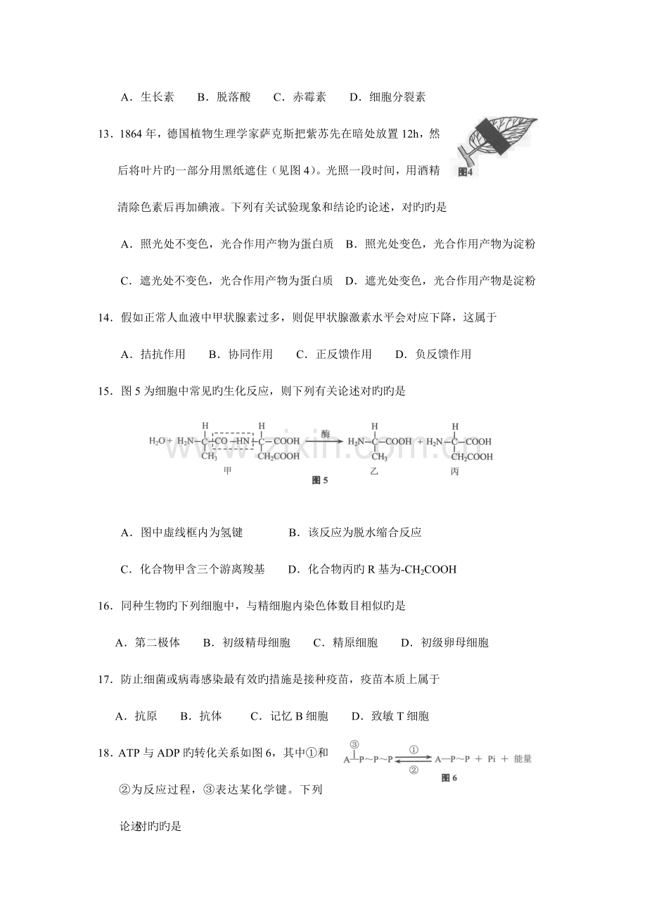 2023年上海学业水平考试生命科学试卷含答案.doc_第3页