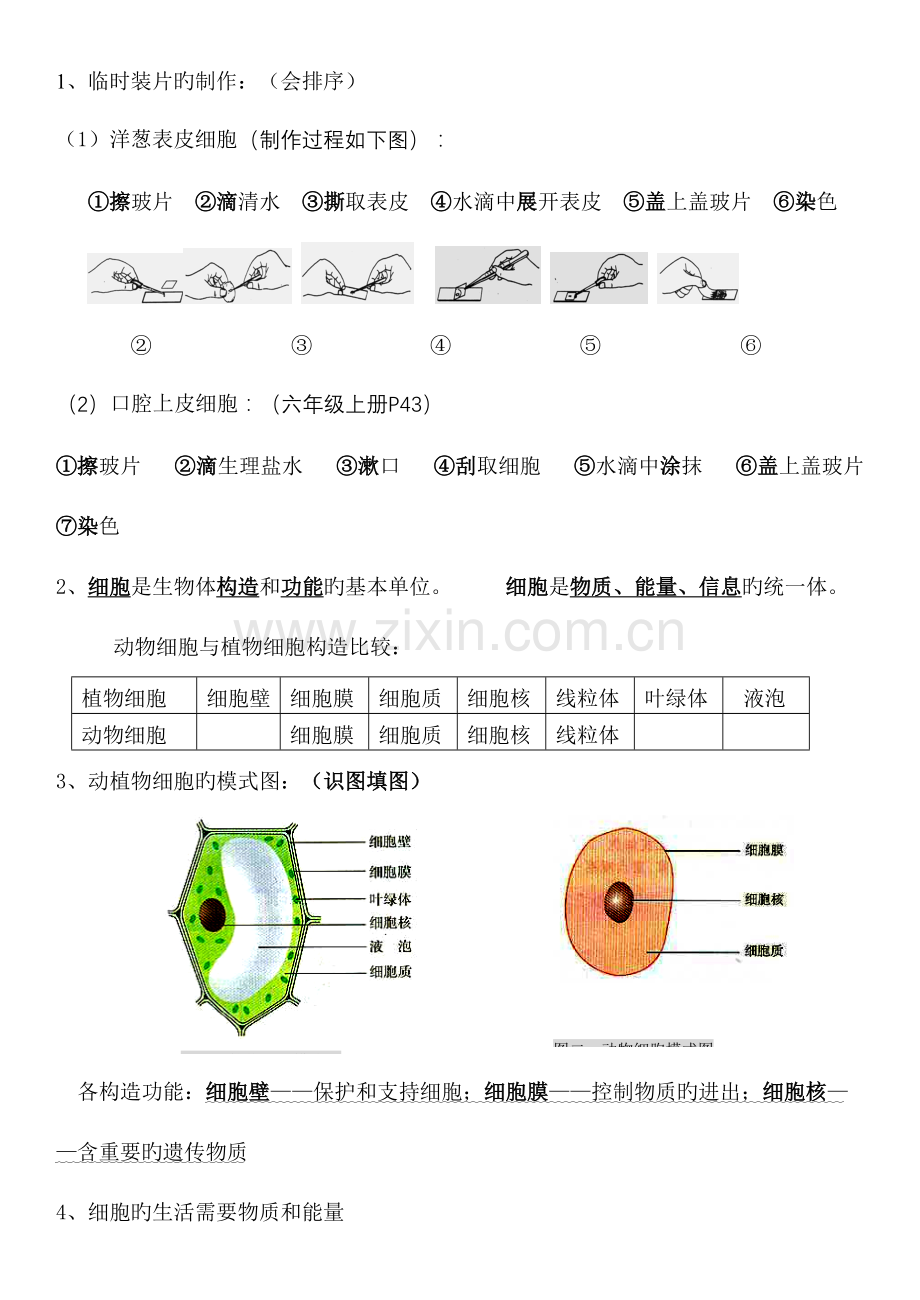 2023年初中生物结业考试知识点复习.doc_第3页