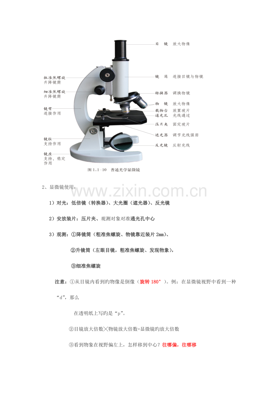 2023年七年级生物上册知识点整理济南版.doc_第3页