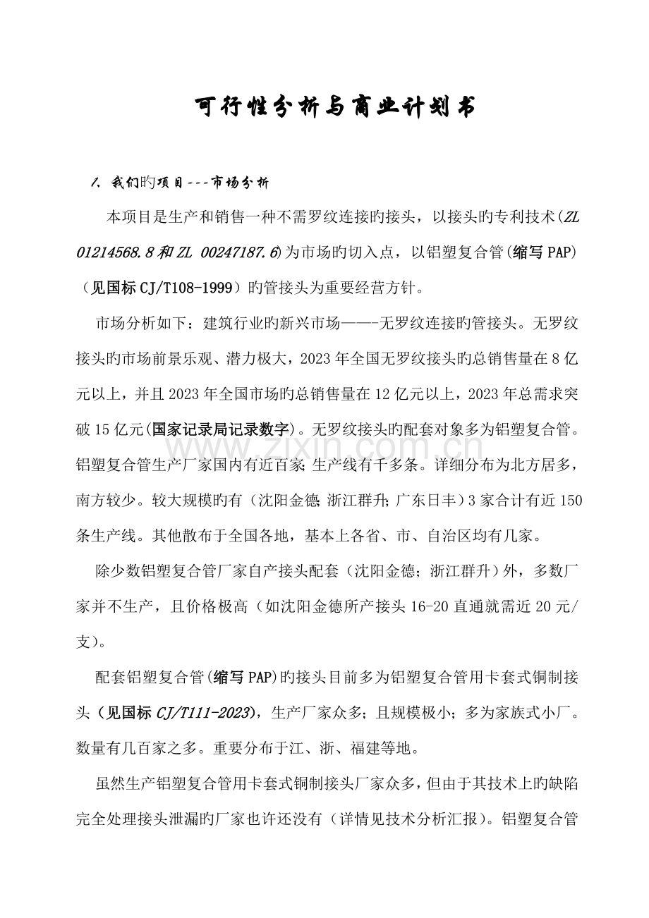 可行性分析与商业计划书.doc_第1页