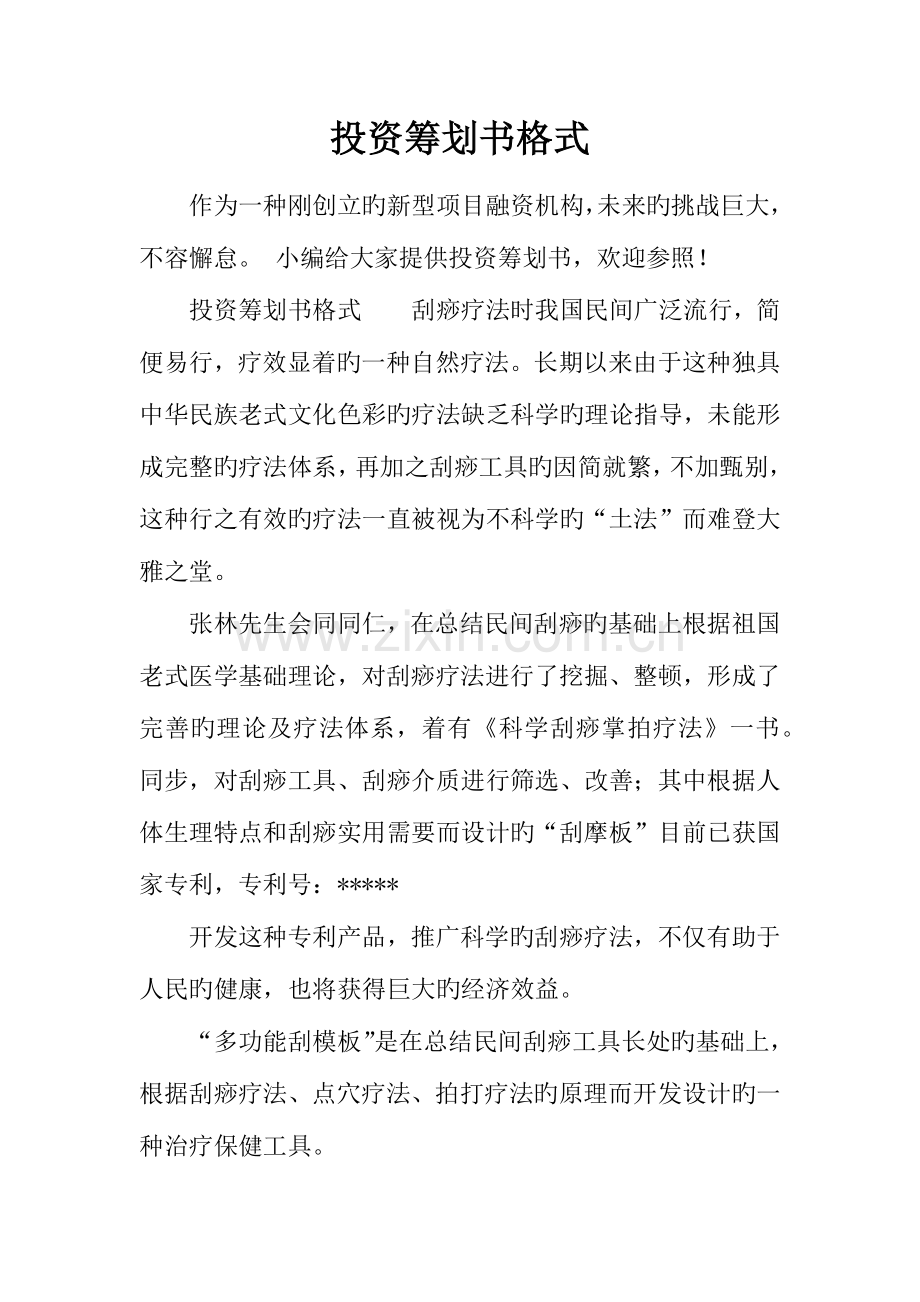 投资策划书格式.docx_第1页