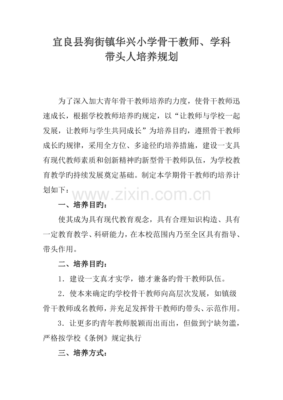 华兴小学骨干教师学科带头人培养规划.doc_第1页