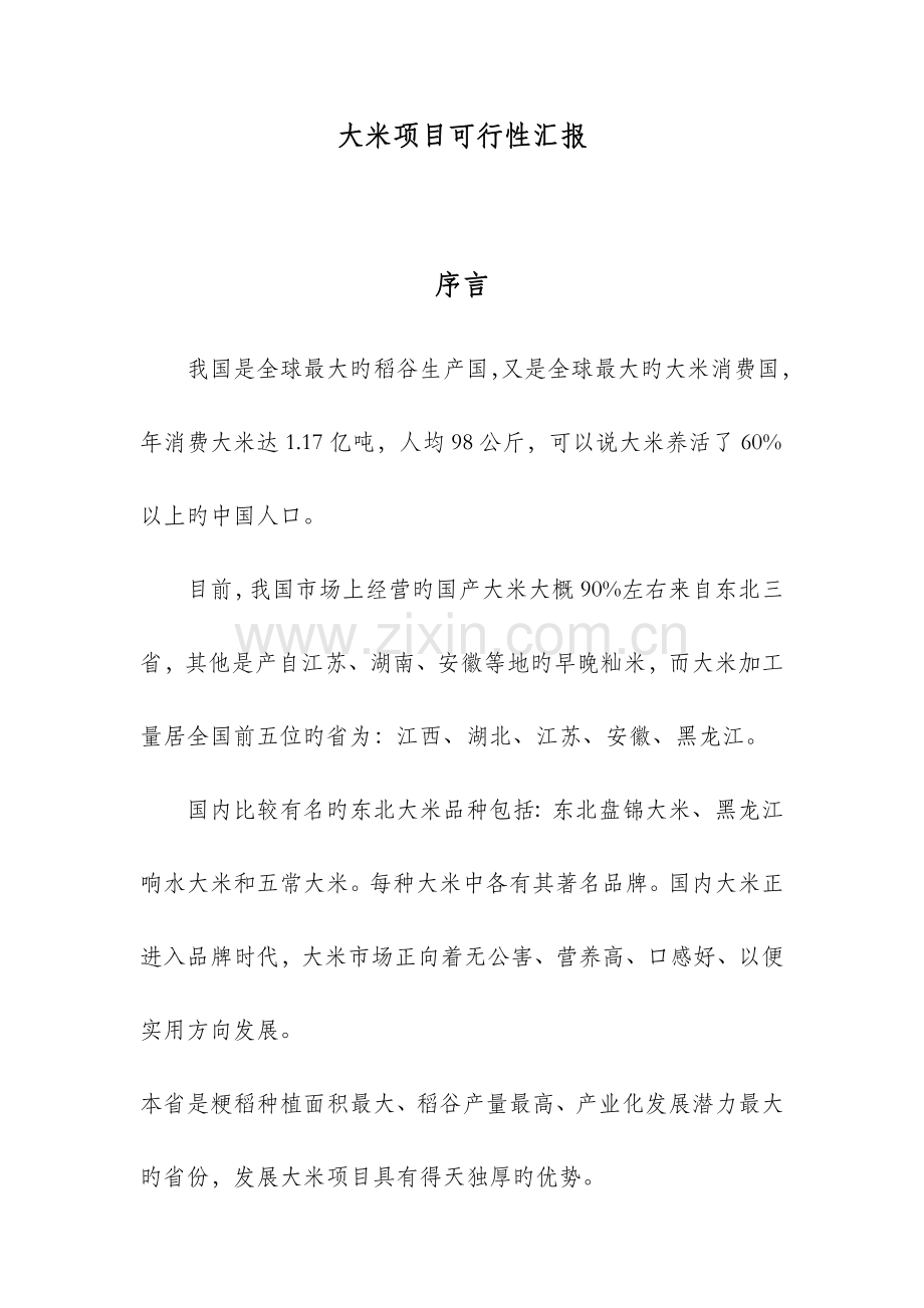 大米项目可行性报告.docx_第1页