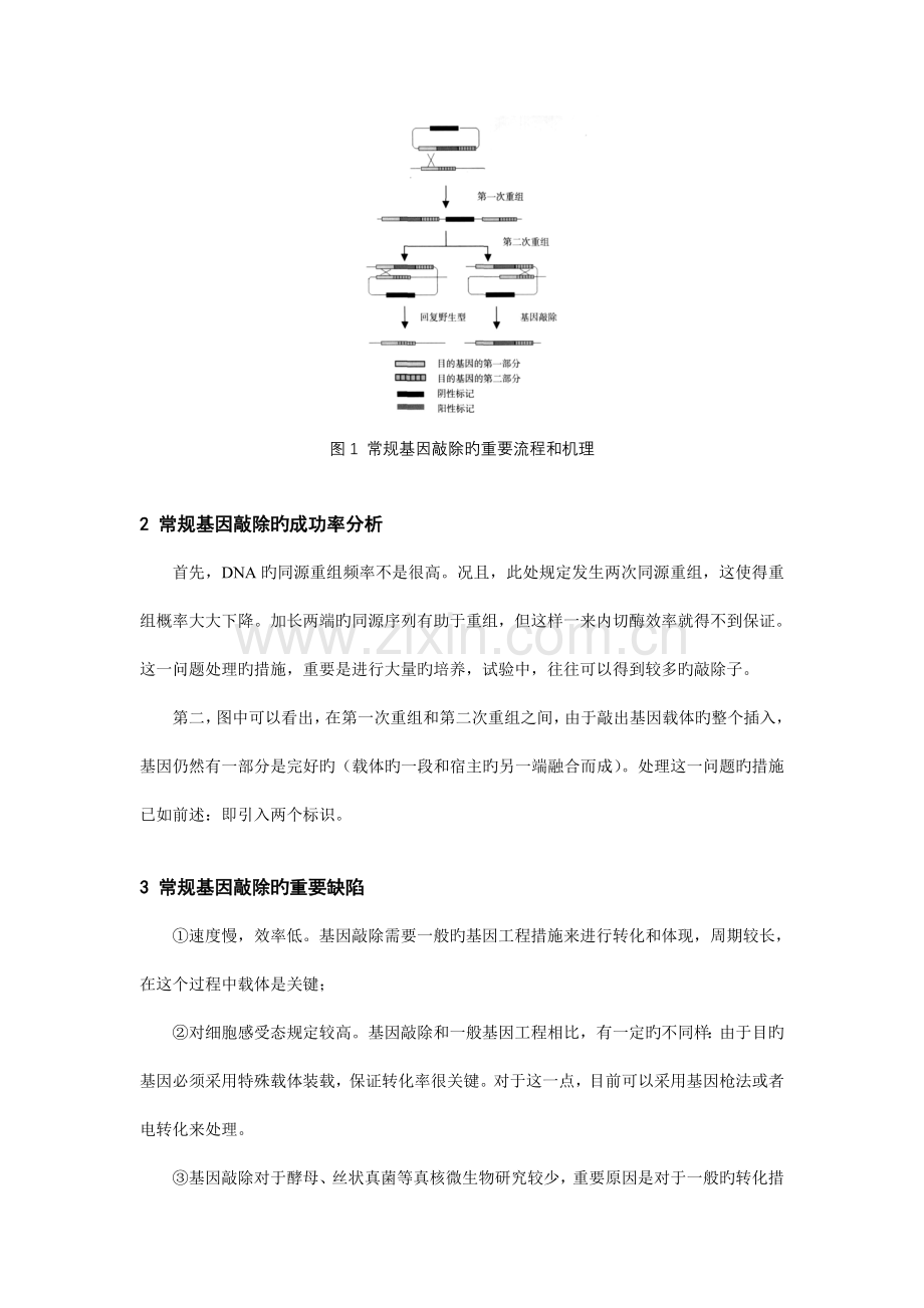 微生物基因敲除技术分析.doc_第2页