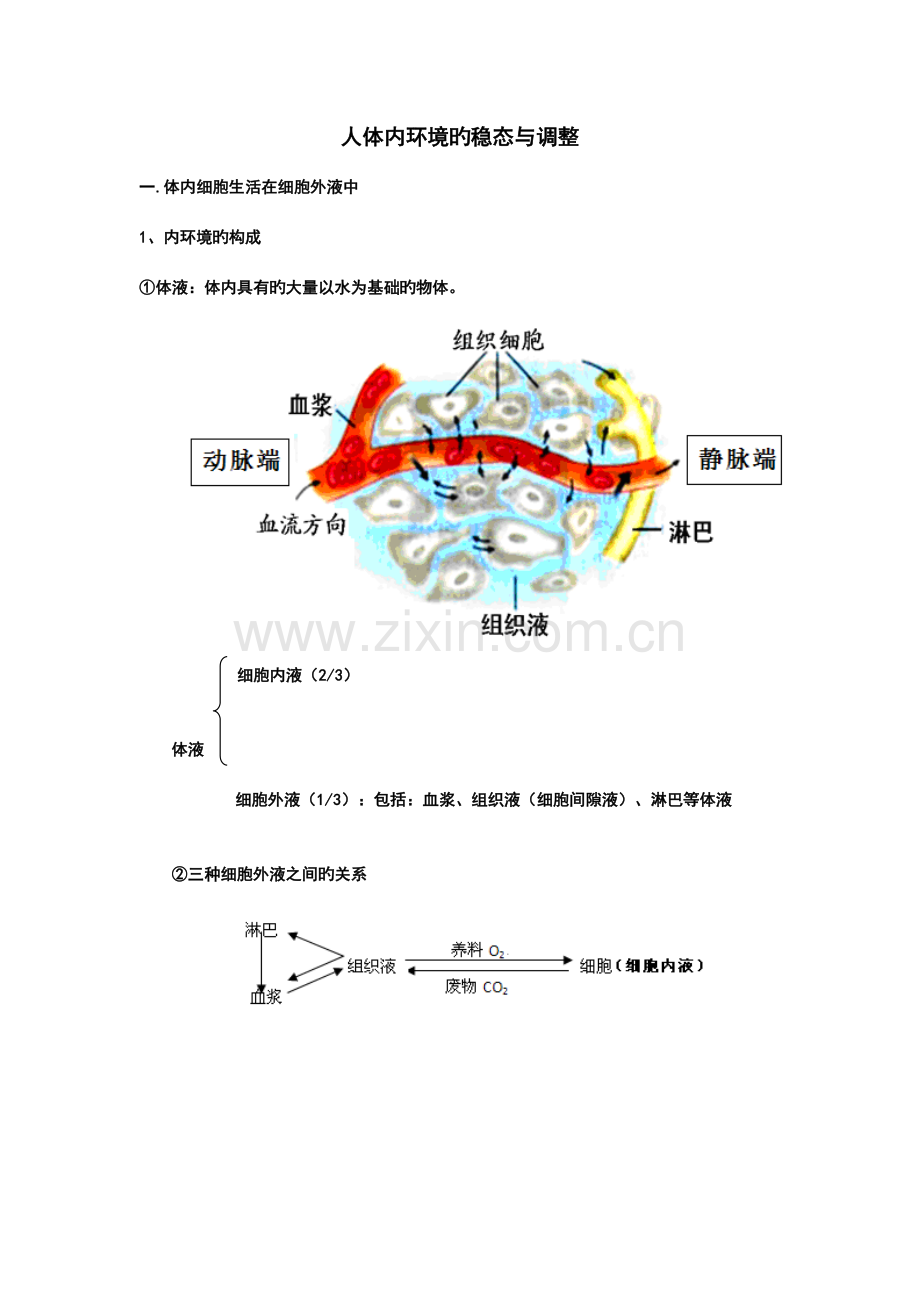 2023年人体内环境的稳态与调节知识点笔记.doc_第1页