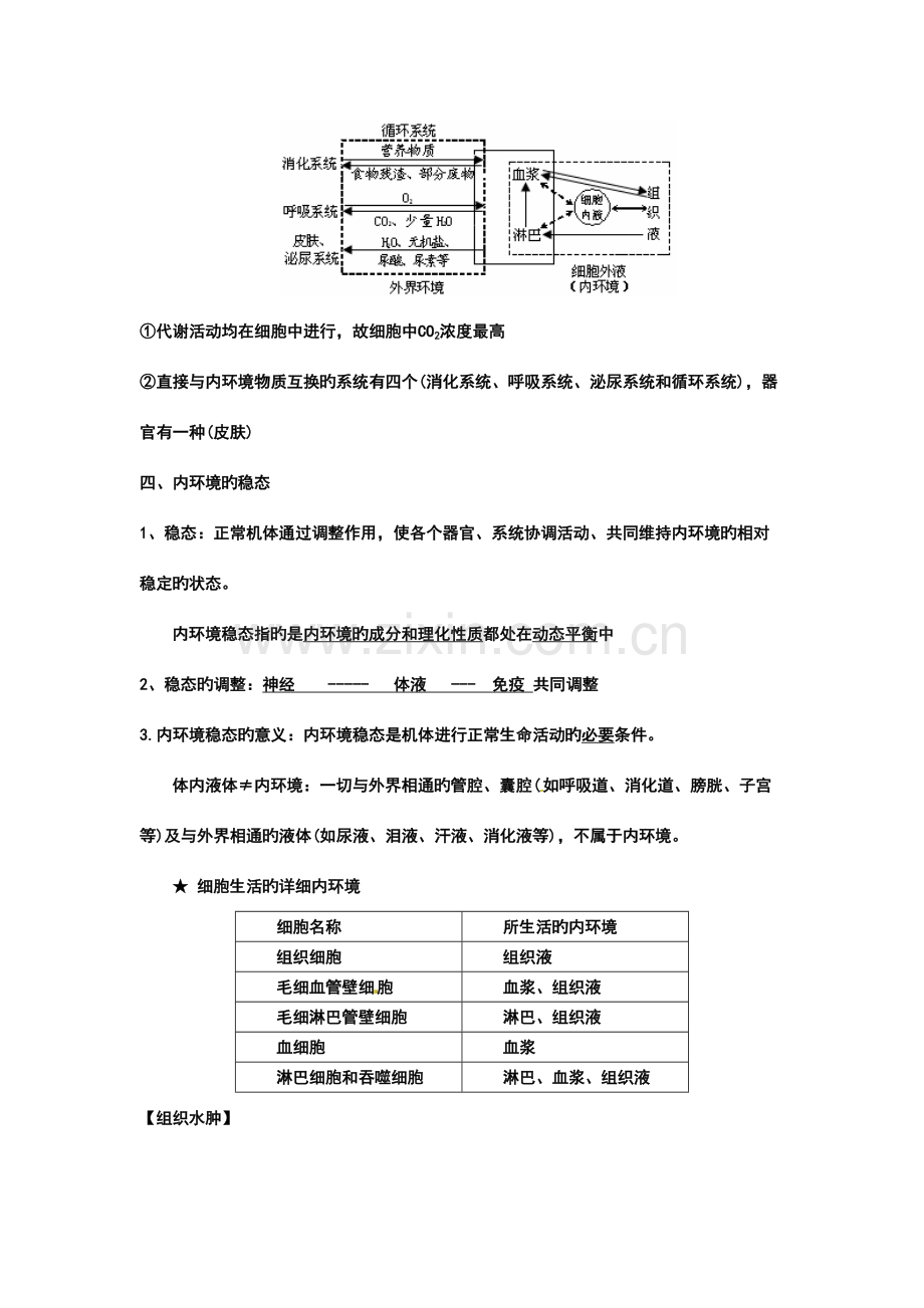 2023年人体内环境的稳态与调节知识点笔记.doc_第3页