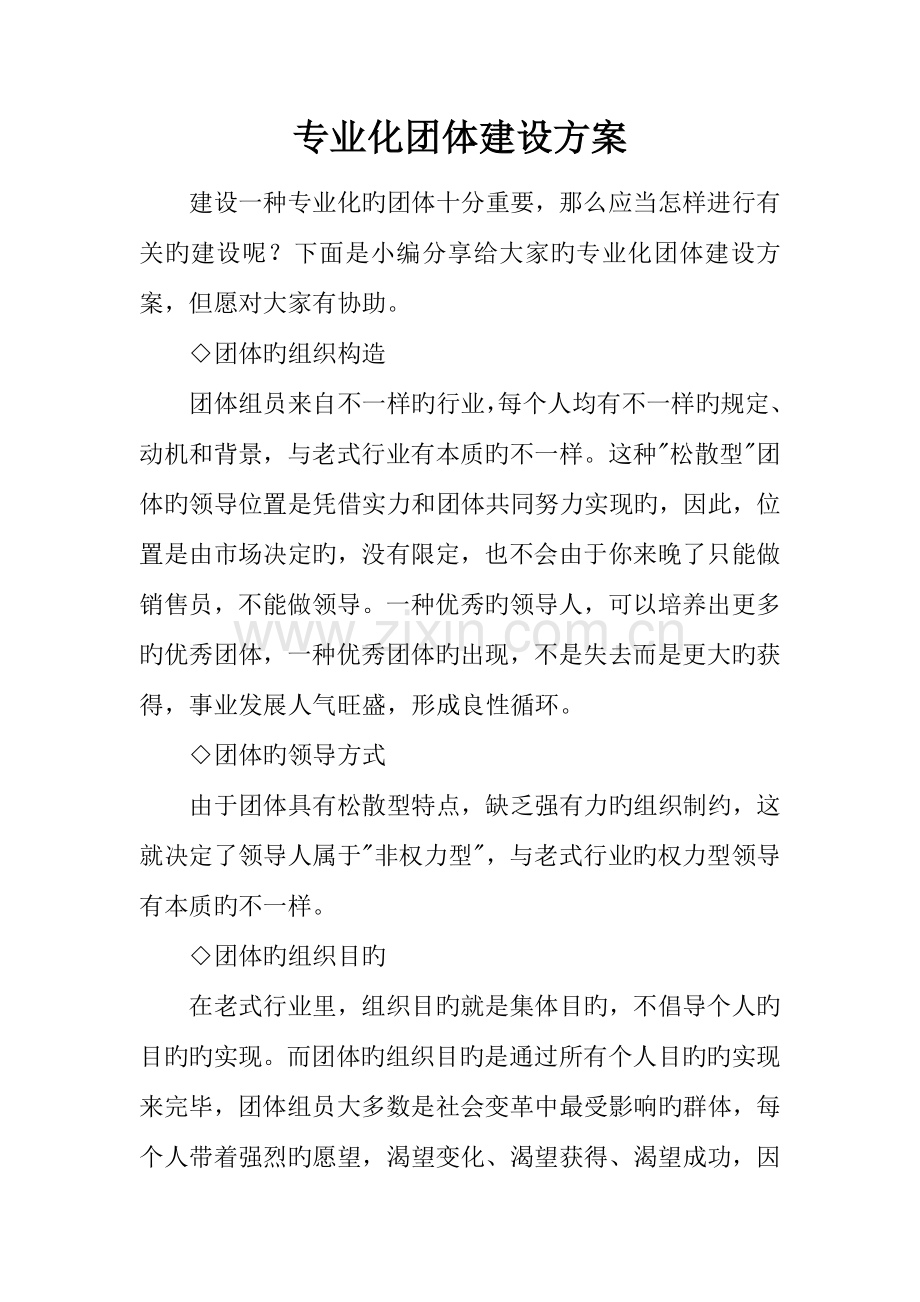 专业化团队建设方案.docx_第1页