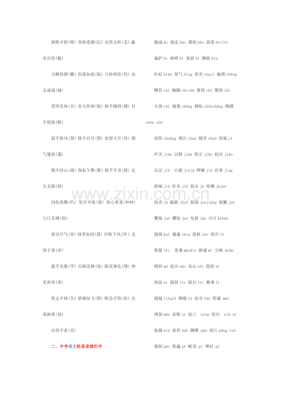 2023年中考语文易错知识点.docx_第3页