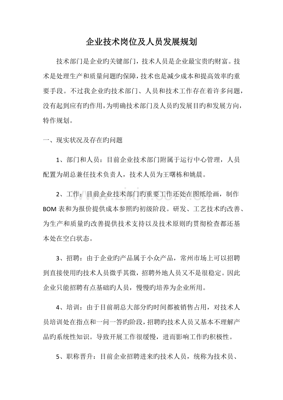 公司技术岗位及人员发展规划.docx_第1页