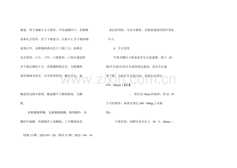 半滑舌鳎的生物学特性及养殖技术.doc_第3页