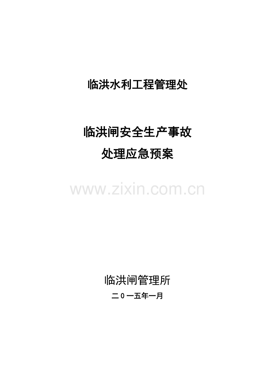 2023年临洪闸安全生产事故处理应急预案版.doc_第1页