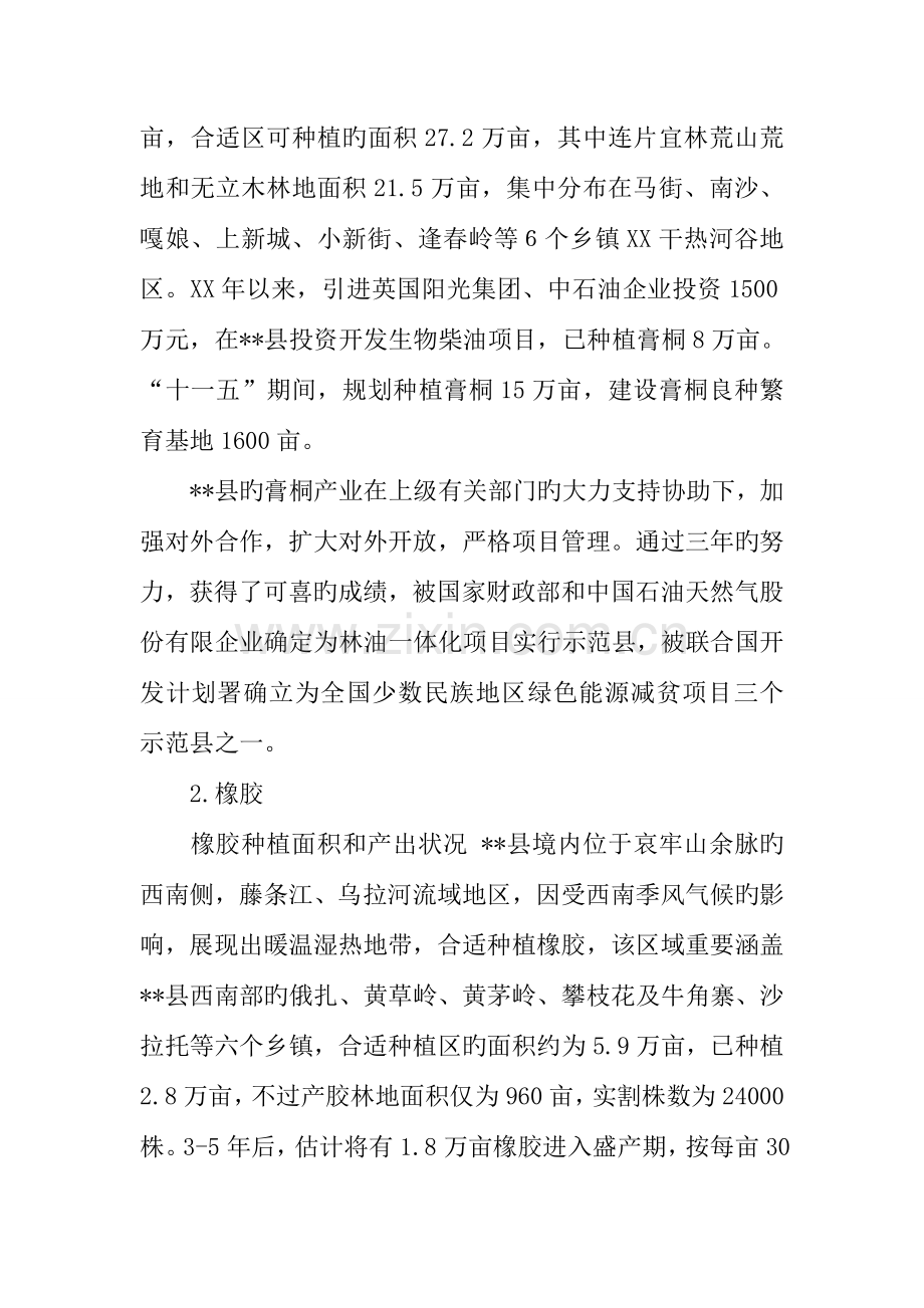 产业集群发展状况调研报告.docx_第3页