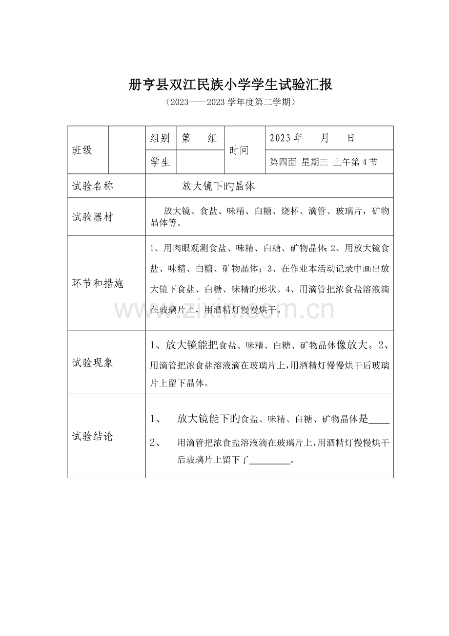 2023年六年级下册科学实验报告单新编.doc_第2页