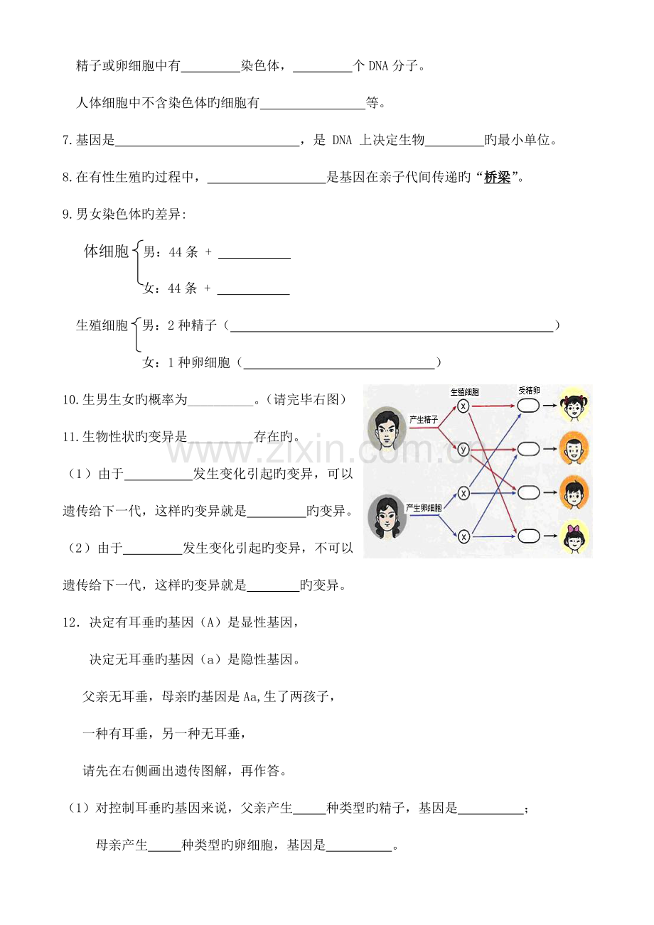 2023年人教版八年级生物下册核心知识点填空.doc_第3页