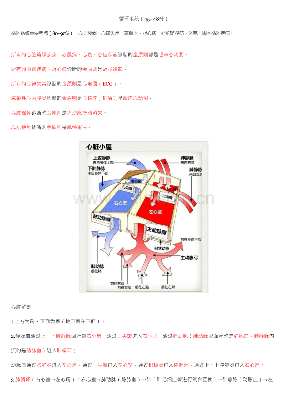 2023年大苗循环系统电子笔记.doc_第1页