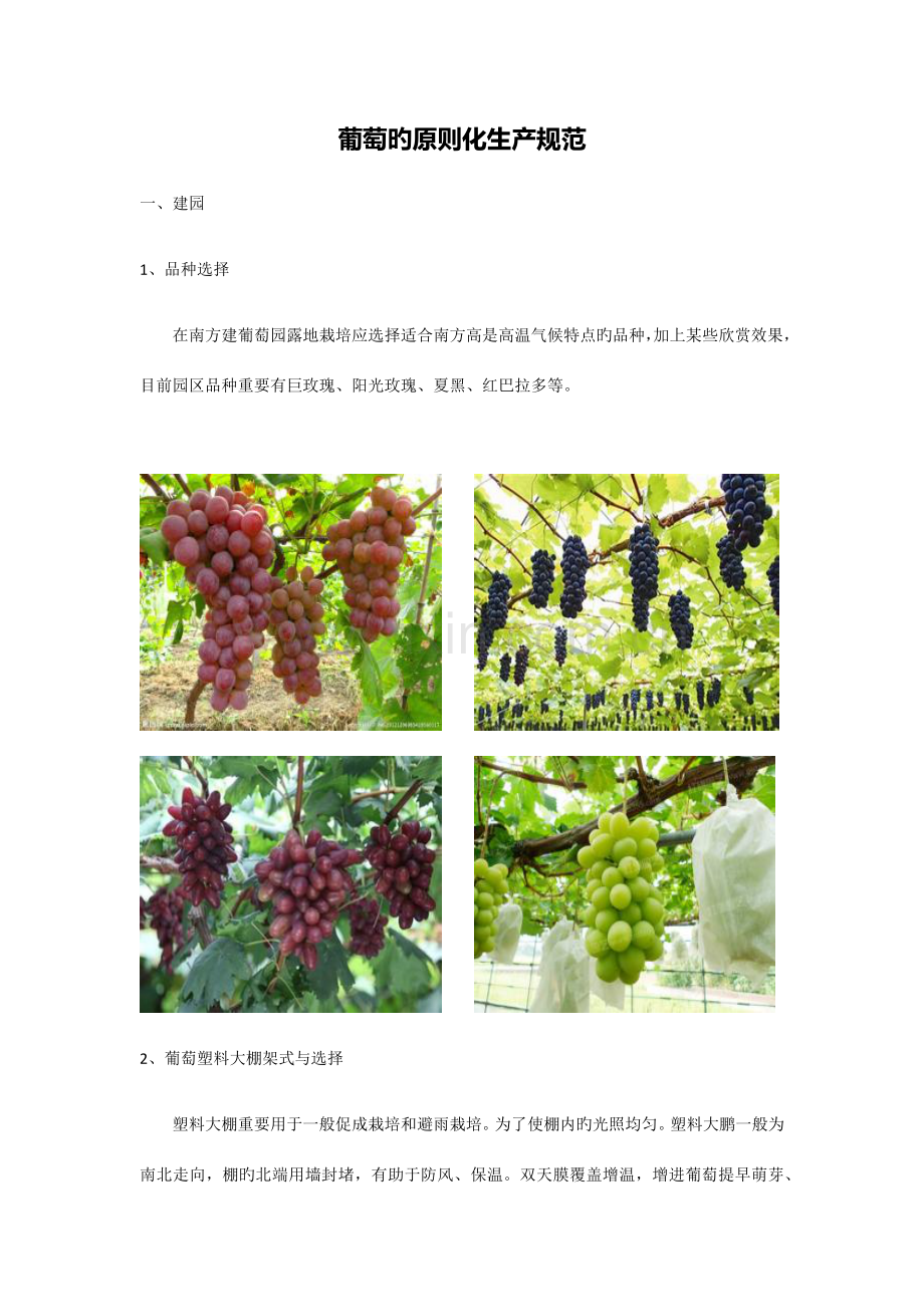 葡萄栽培管理技术标准.docx_第3页