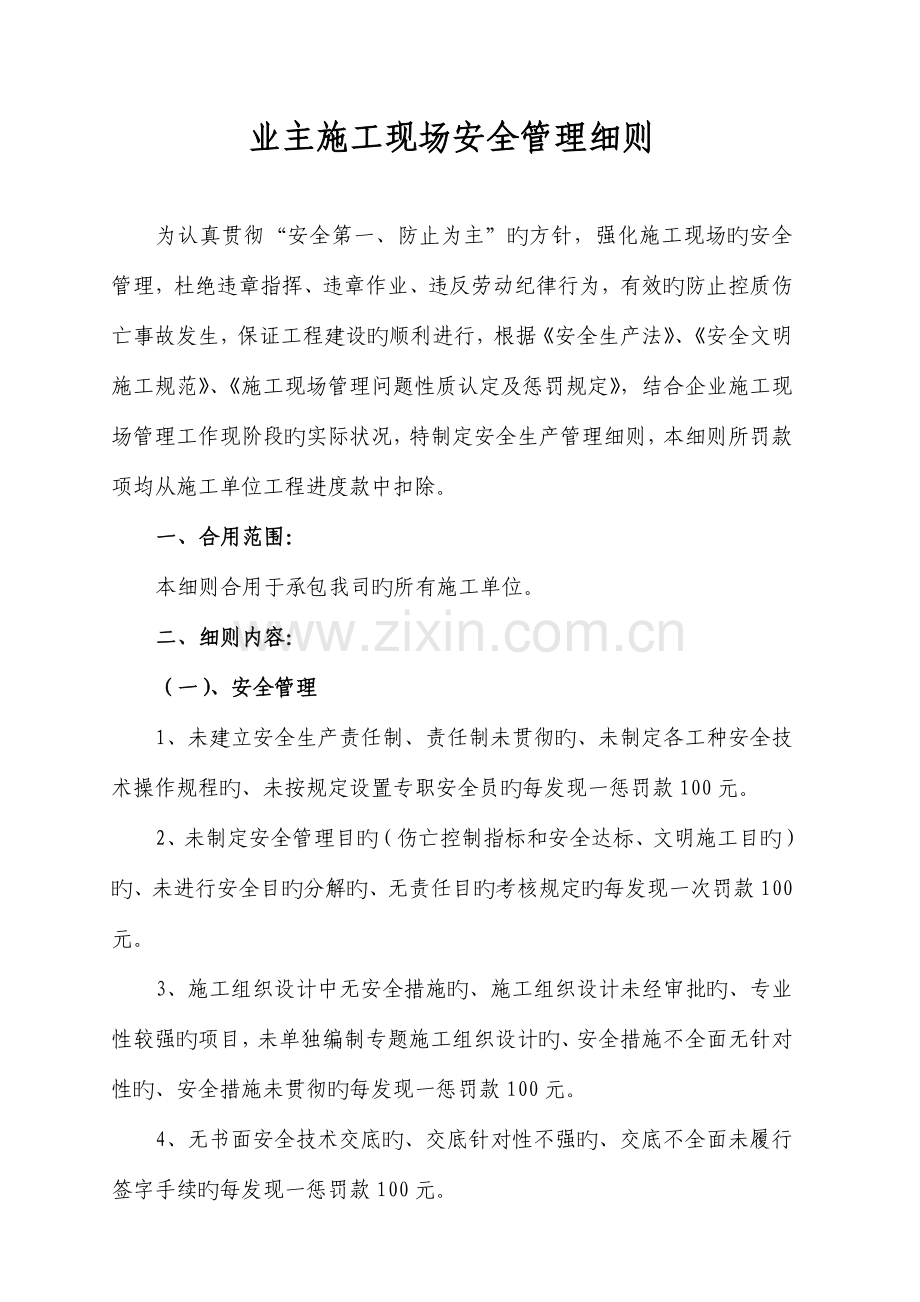 建设单位施工现场安全管理细则.doc_第1页