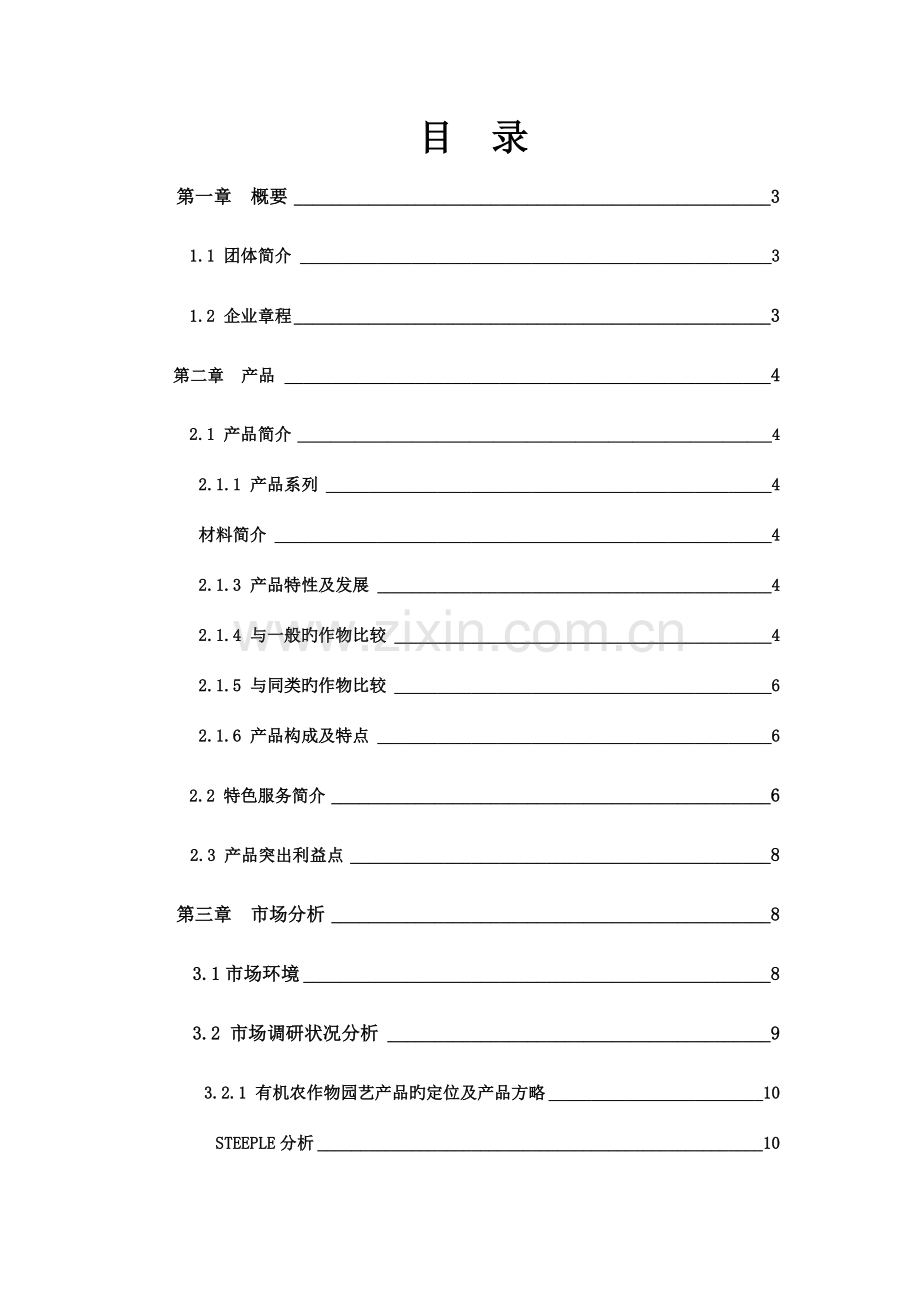 新加坡市场营销大赛获奖策划案.doc_第2页