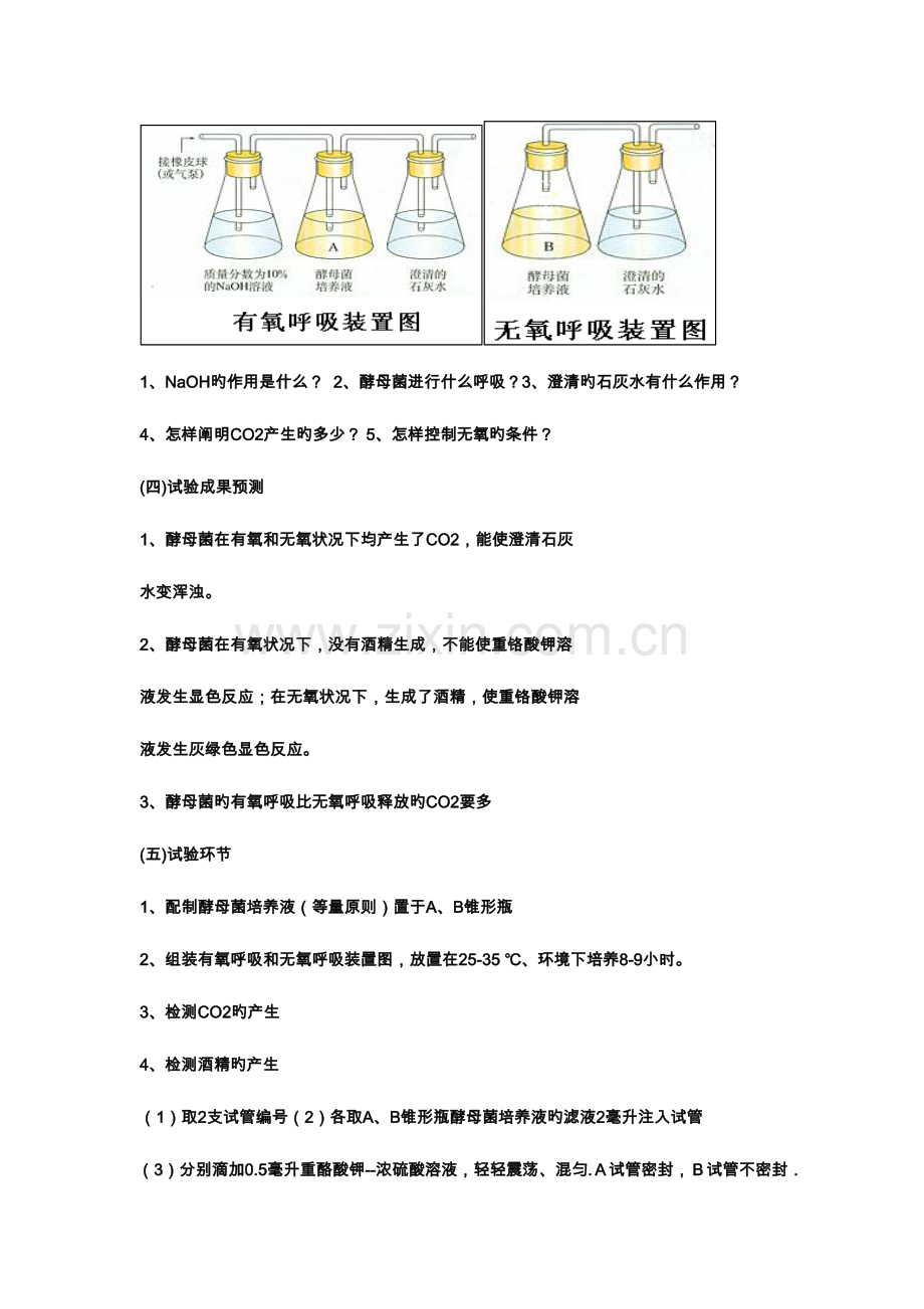 2023年光合作用和呼吸作用知识点总结.doc_第2页