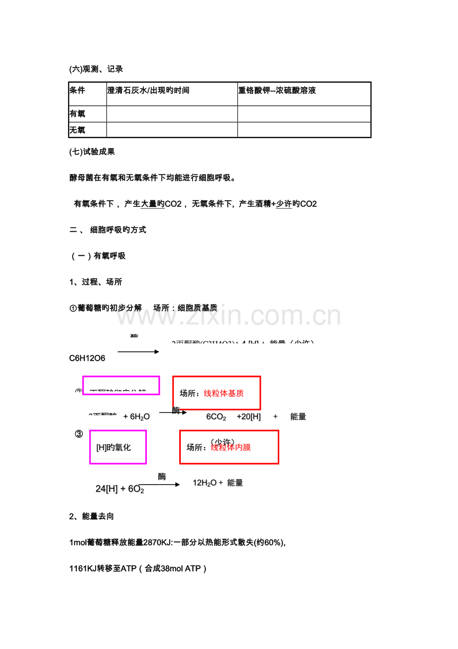 2023年光合作用和呼吸作用知识点总结.doc_第3页