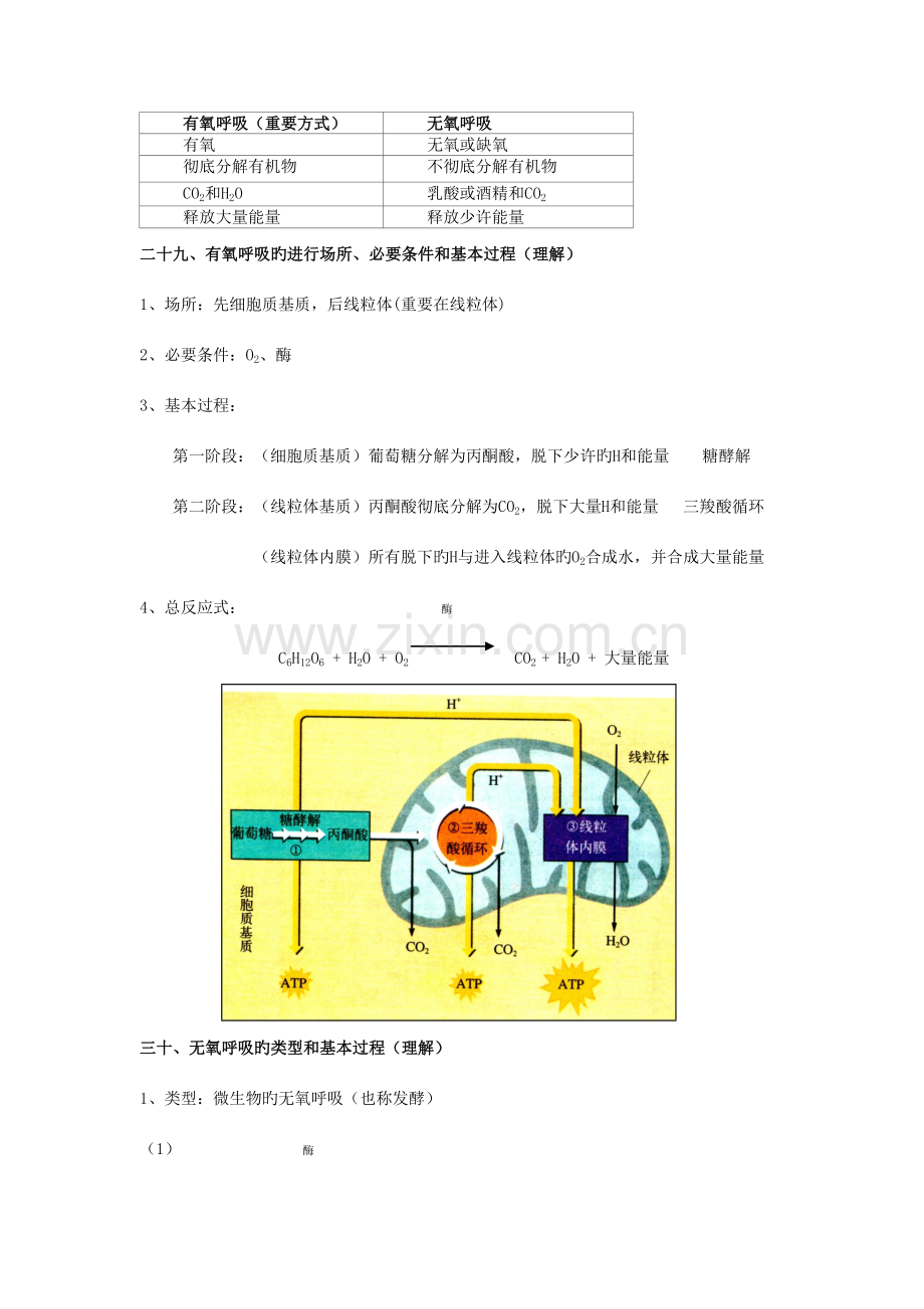 2023年上海高二生物会考知识点整理生物考点.doc_第3页